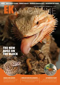 September 2022 
                issue September 2022