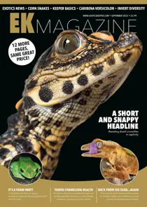 Exotics Keeper September 2023