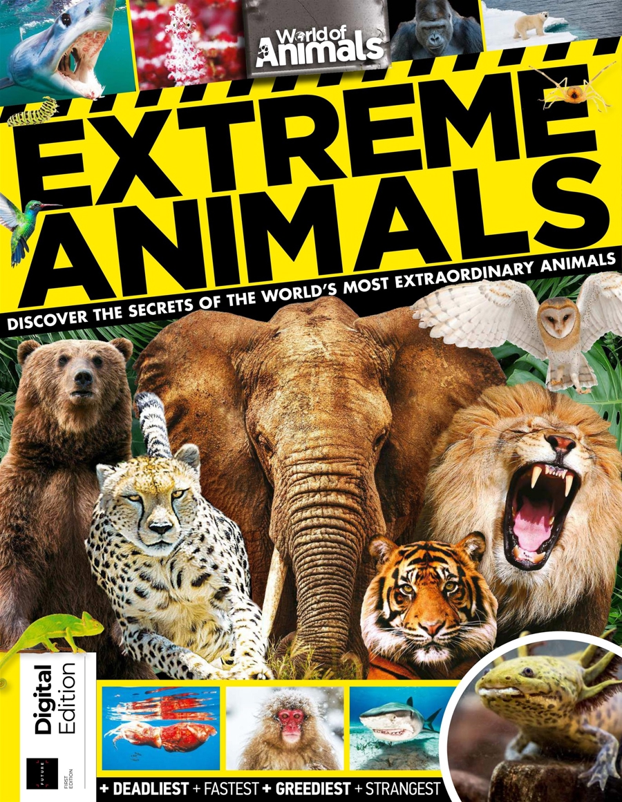 Extreme Animals issue World of Animals Extreme Animals