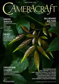 Mar/Apr 2019 
                issue Mar/Apr 2019