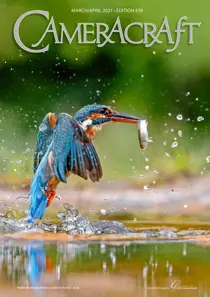 March/April 2021 
                issue March/April 2021