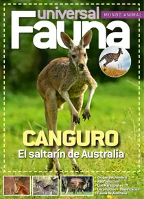 Fasciculo 2 - 2026 
                issue Fasciculo 2 - 2026