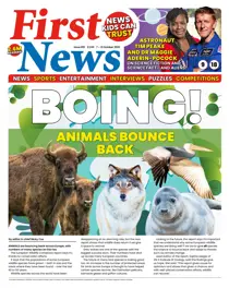 First News Issue 851 
                issue First News Issue 851