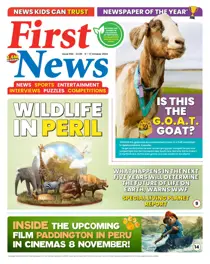 First News Complete Your Collection Cover 2