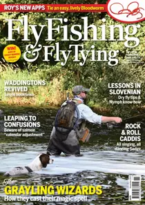 November 2023 
                issue November 2023