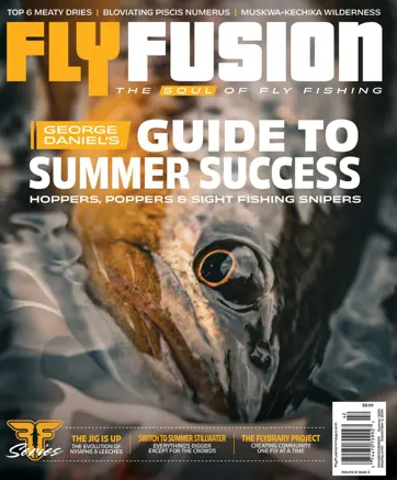 Fly Fusion Preview