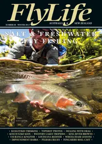 Number 88 - Winter 2017 
                issue Number 88 - Winter 2017