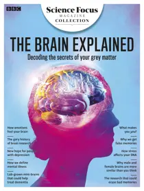 The Brain Explained 
                issue The Brain Explained