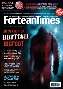 Fortean Times 
                issue 425