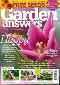 April 2021 
                issue April 2021