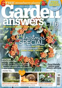 December 2016 
                issue December 2016