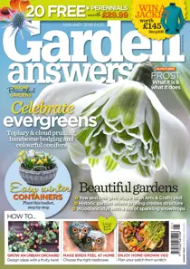 January 2019 
                issue January 2019