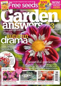 October 2020 
                issue October 2020