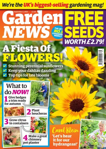 Garden News Preview