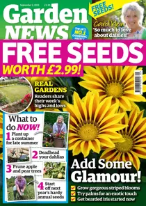 Garden News 
                issue FREE Sample Issue