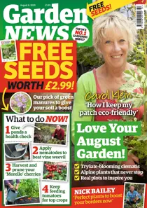 04/08/2020 
                issue 04/08/2020