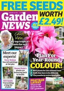 10-Sep-22 
                issue 10-Sep-22