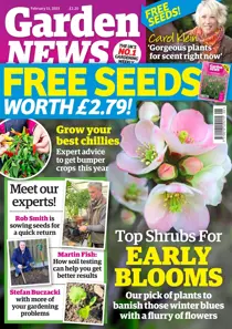 11-Feb-2023 
                issue 11-Feb-2023