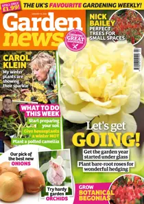 11th January 2020 
                issue 11th January 2020