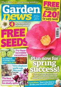 12th November 2016 
                issue 12th November 2016