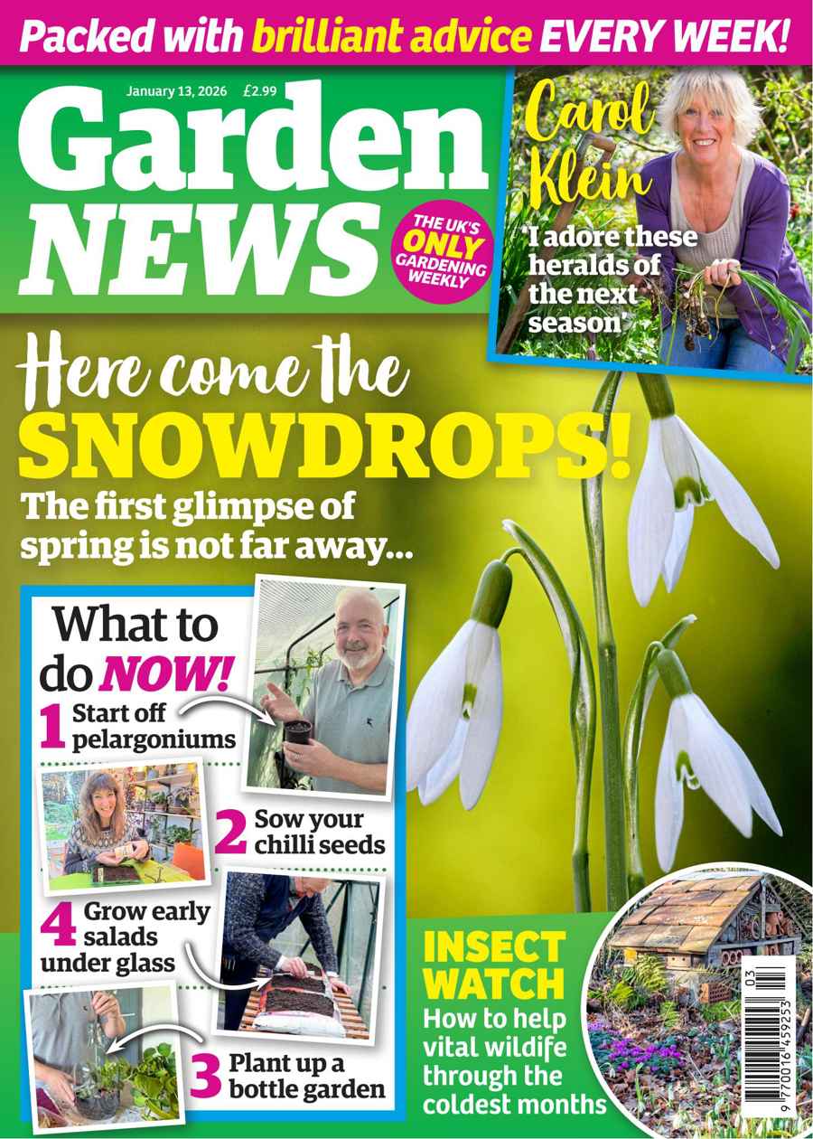 Garden News issue 13-Jan-2026