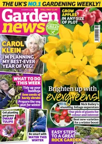 16th November 2019 
                issue 16th November 2019