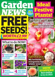 17-Dec-22 
                issue 17-Dec-22