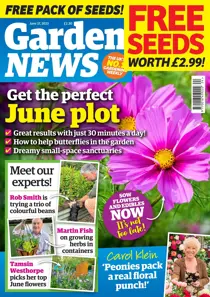 17-Jun-2023 
                issue 17-Jun-2023