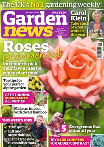 17th November 2018 
                issue 17th November 2018