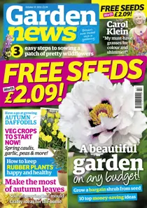 17th October 2015 
                issue 17th October 2015