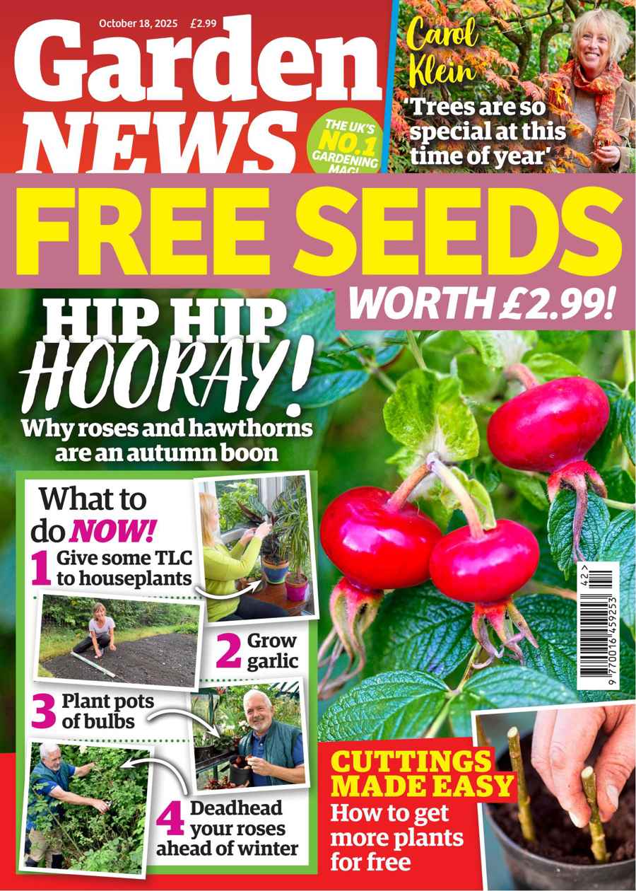 GARDEN NEWS