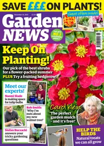 19-Nov-22 
                issue 19-Nov-22