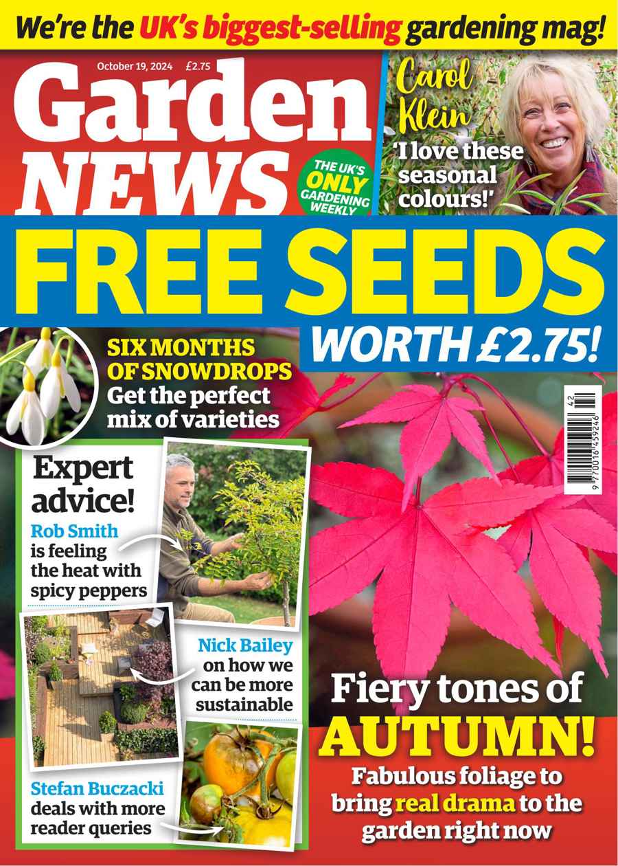 Garden News issue 19-Oct-2024