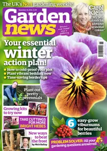 19th November 2016 
                issue 19th November 2016