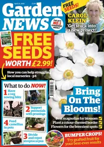 21/04/2020 
                issue 21/04/2020