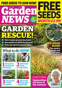 23-Jul-22 
                issue 23-Jul-22