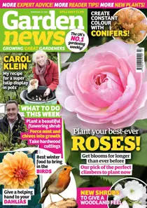 23rd November 2019 
                issue 23rd November 2019