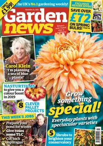 24th November 2018 
                issue 24th November 2018