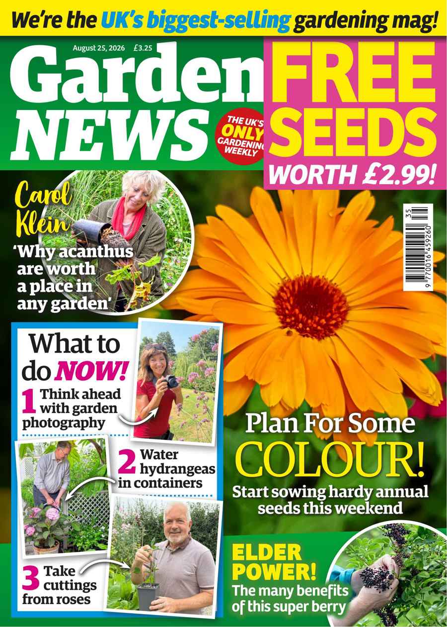 Garden News issue 25-Aug-2026