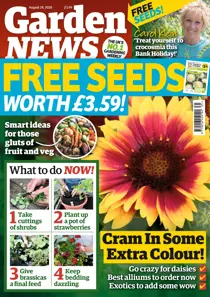 25/08/2020 
                issue 25/08/2020