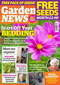 28-Jan-2023 
                issue 28-Jan-2023