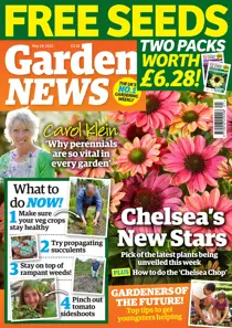 28-May-22 
                issue 28-May-22