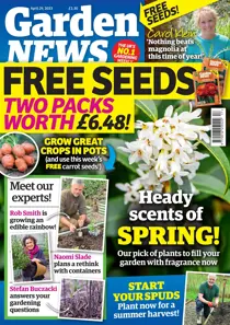 29-Apr-2023 
                issue 29-Apr-2023