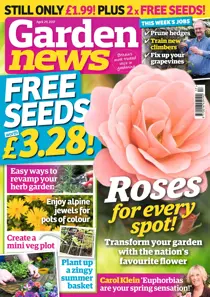 29th April 2017 
                issue 29th April 2017