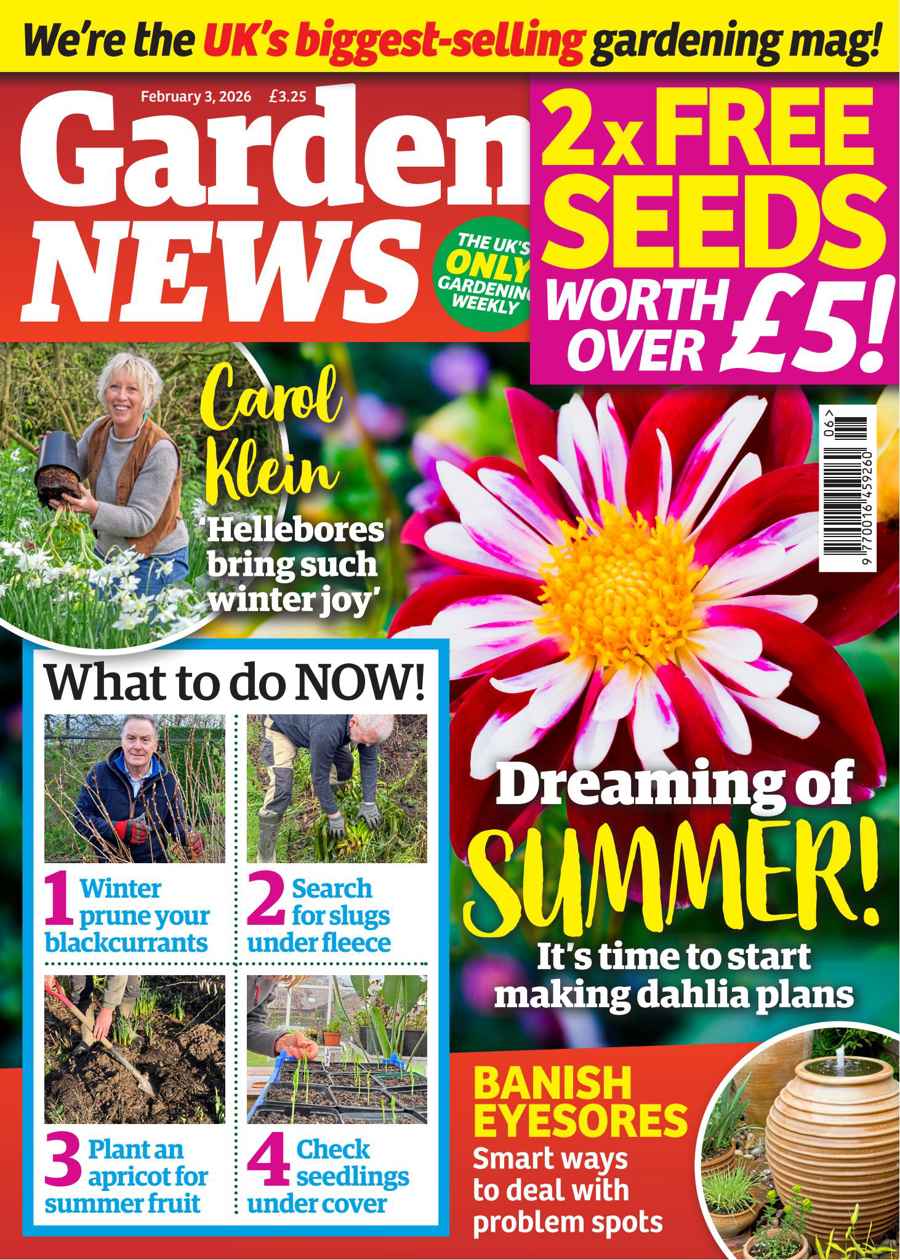 GARDEN NEWS