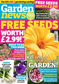 31st August 2019 
                issue 31st August 2019