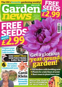 3rd November 2018 
                issue 3rd November 2018