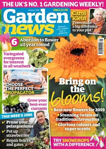 Garden News Preview