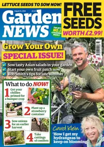 Aug 21st 2021 
                issue Aug 21st 2021