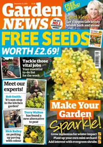 Dec 11th 2021 
                issue Dec 11th 2021